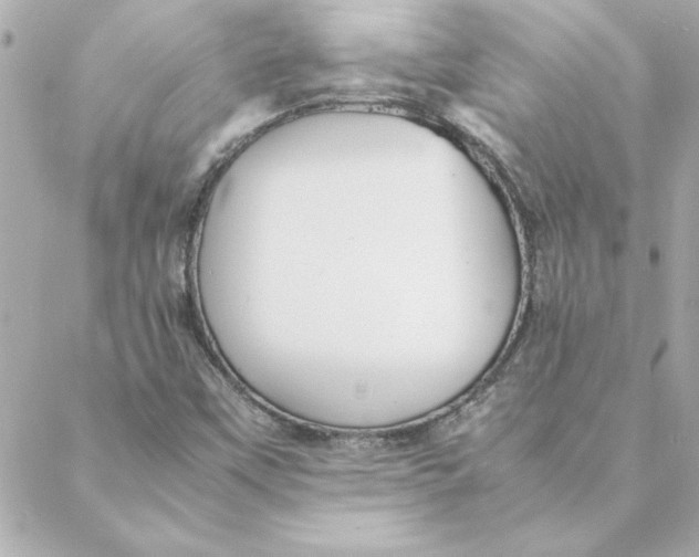 X0000088171451200706051104