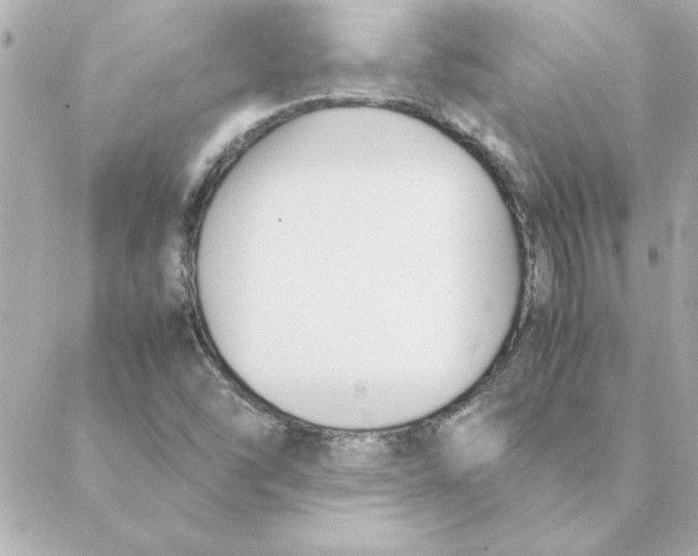 X0000088171454200706051104