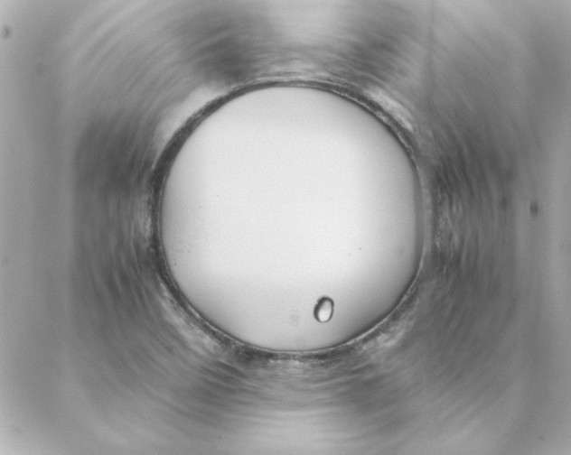 X0000088171458200706051104