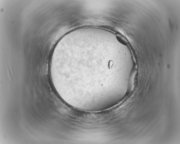 X0000088171459200706051104