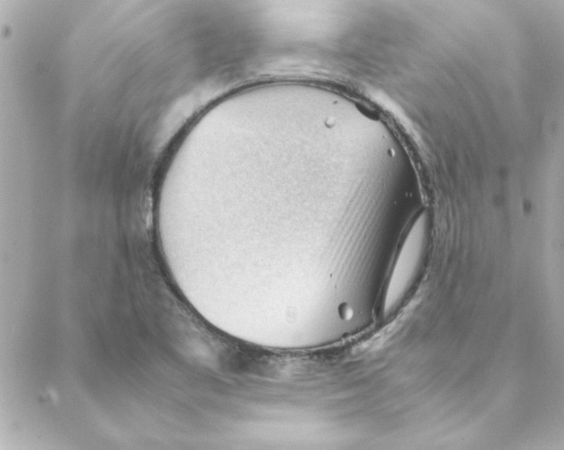 X0000088171461200706051104