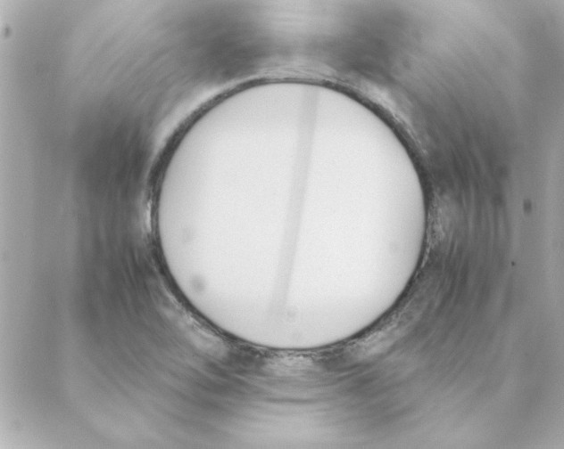 X0000088171462200706051104