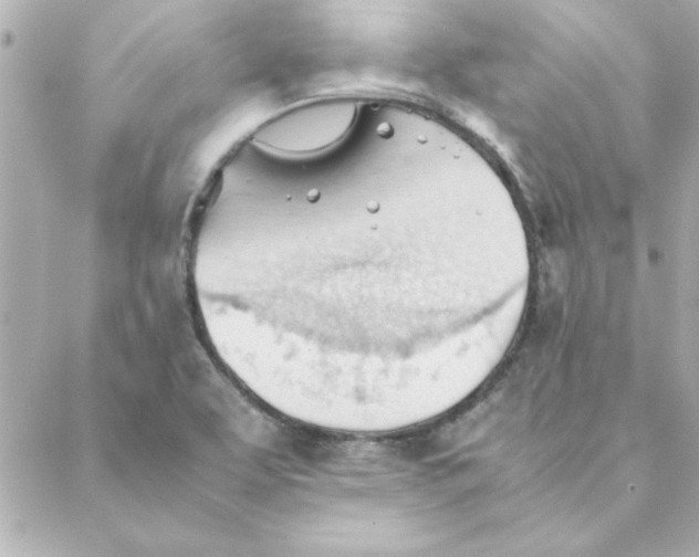 X0000088171463200706051104