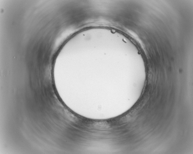 X0000088171464200706051104