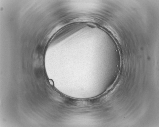 X0000088171465200706051104