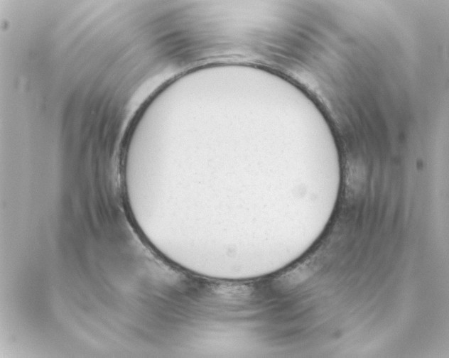 X0000088171466200706051104