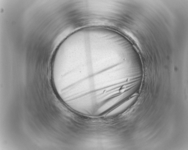 X0000088171467200706051104