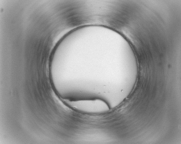 X0000088171468200706051104