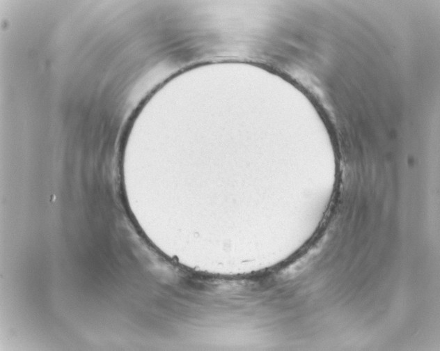 X0000088171469200706051104