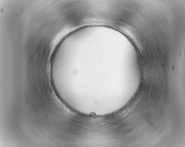 X0000088171472200706051104