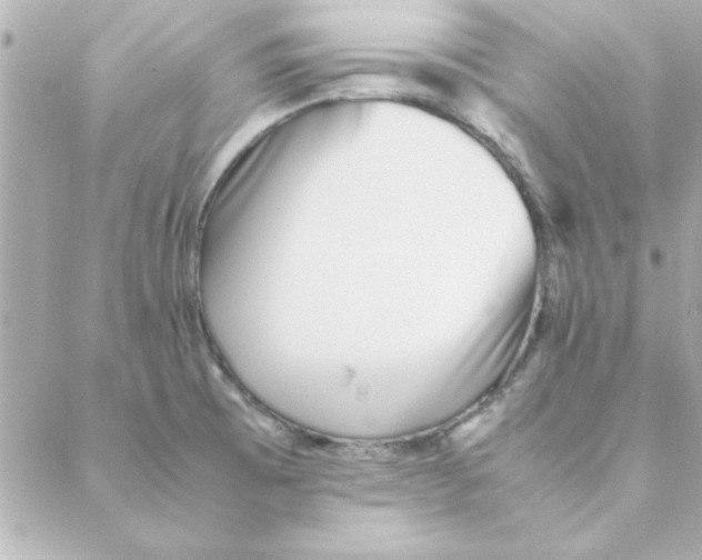 X0000088171473200706051104