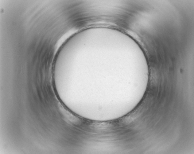 X0000088171474200706051104