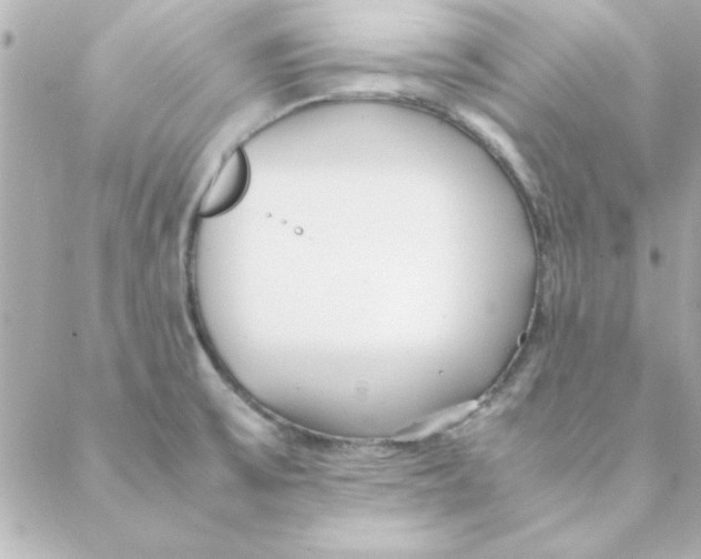 X0000088171475200706051104