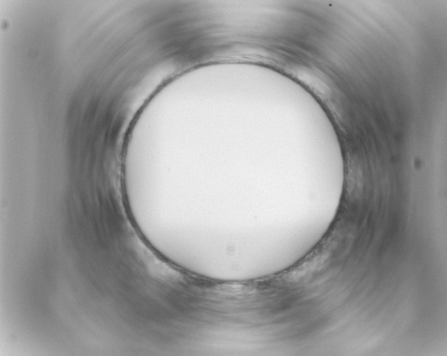 X0000088171478200706051104