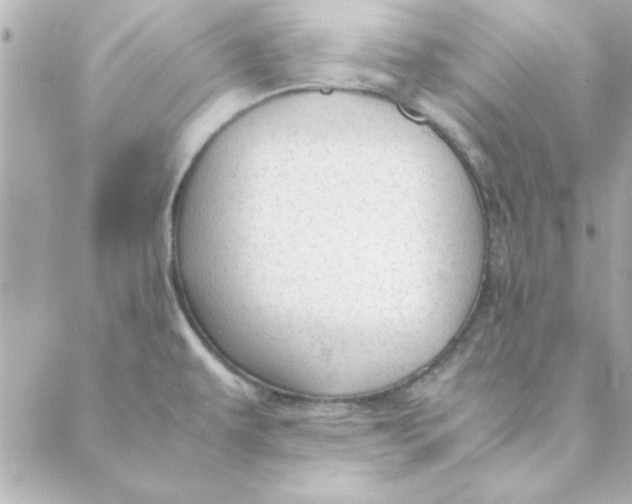 X0000088171479200706051104