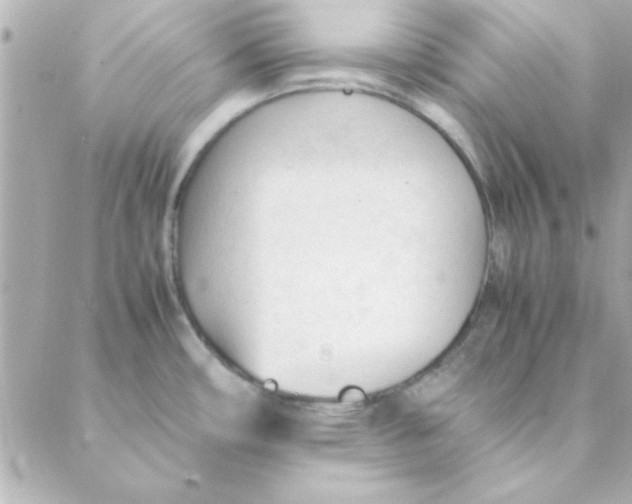 X0000088171482200706051104