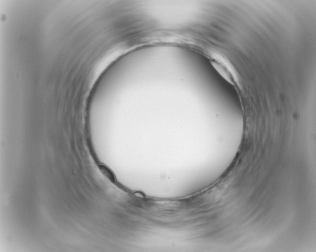 X0000088171483200706051104