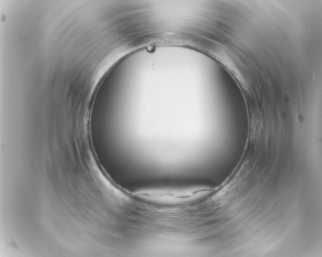 X0000088171484200706051104