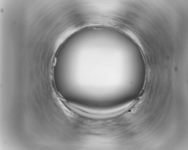 X0000088171485200706051104