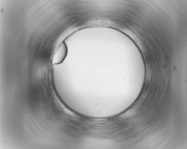 X0000088171486200706051104