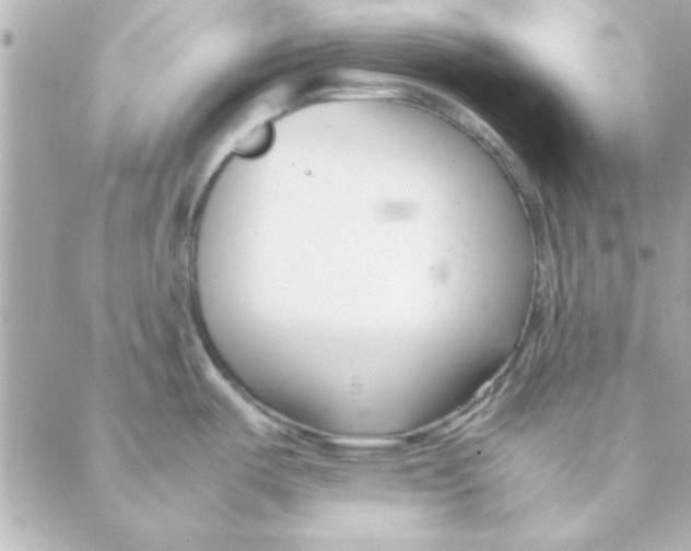 X0000088171487200706051104