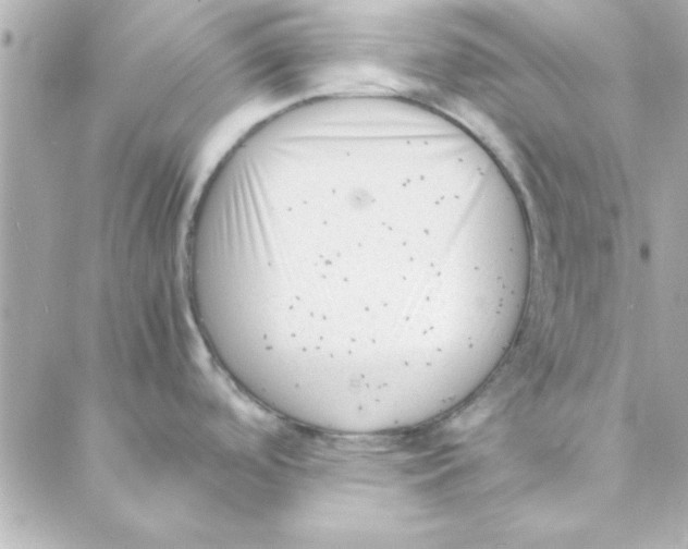 X0000088171488200706051104