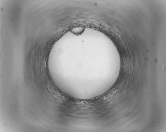 X0000088171489200706051103