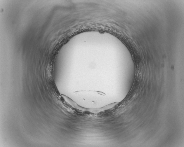 X0000088171490200706051103