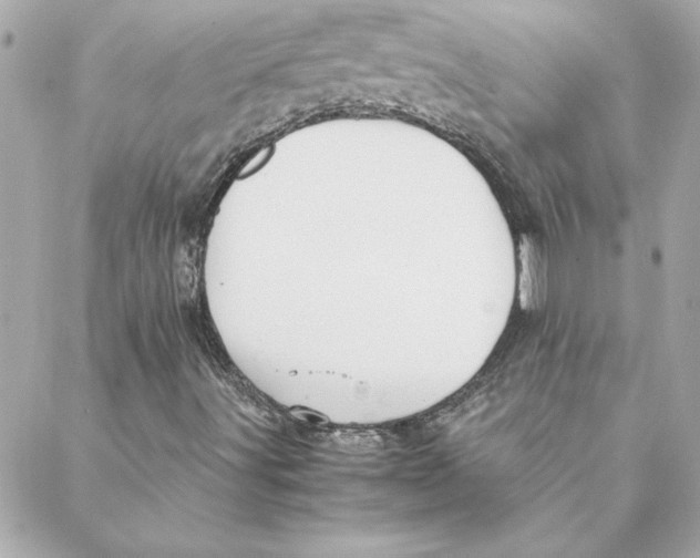 X0000088171491200706051103