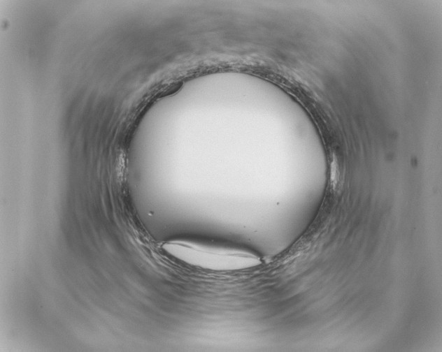 X0000088171492200706051103