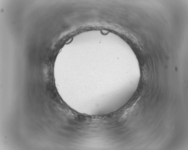 X0000088171494200706051103