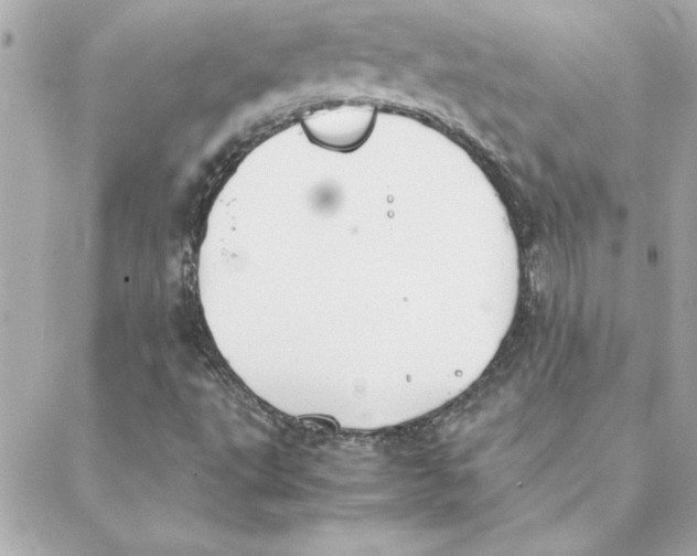 X0000088171495200706051103