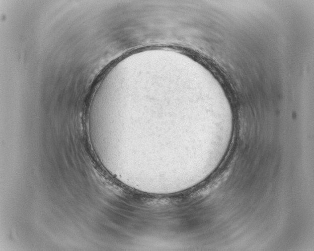 X0000088171497200706051103