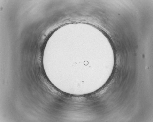 X0000088171498200706051103