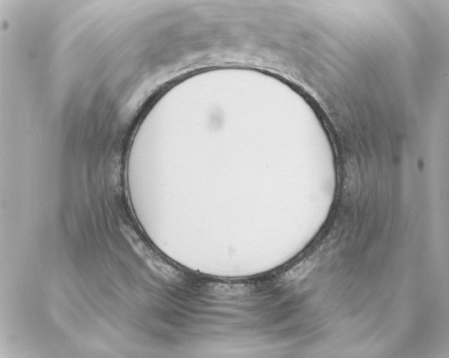 X0000088171499200706051103