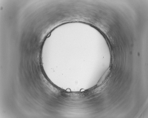 X0000088171500200706051103