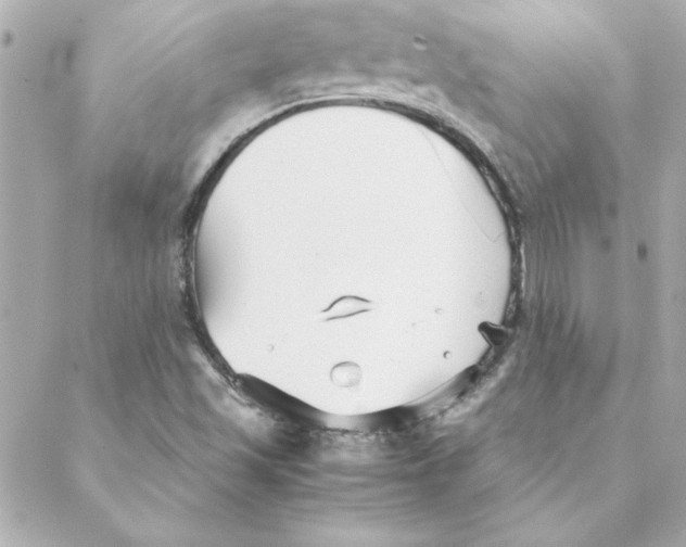 X0000088171501200706051103