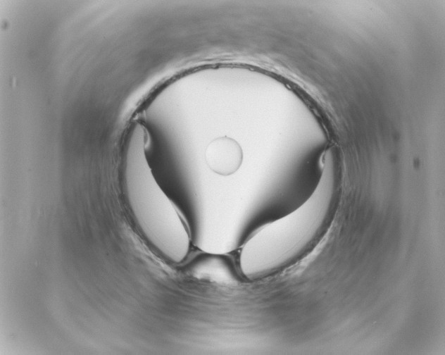 X0000088171502200706051103