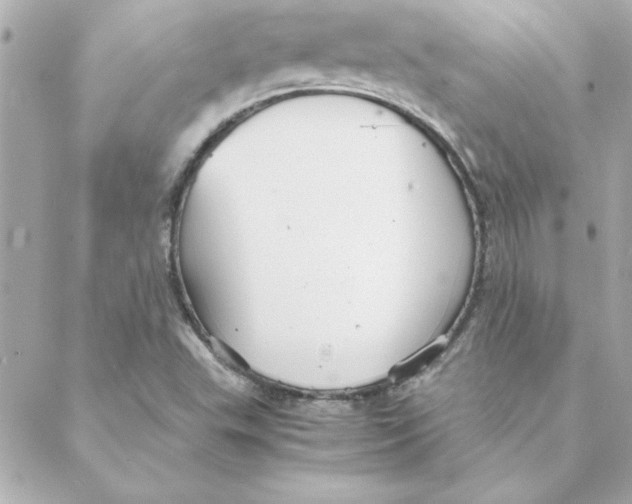 X0000088171503200706051103