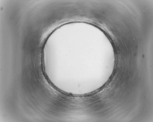 X0000088171504200706051103