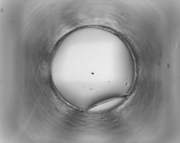 X0000088171505200706051103