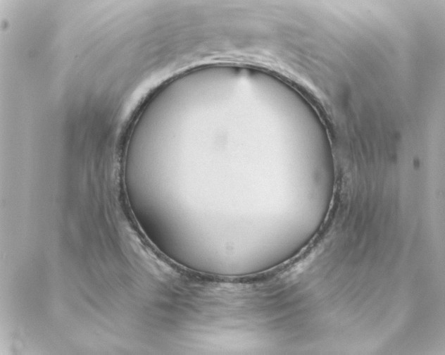 X0000088171506200706051103