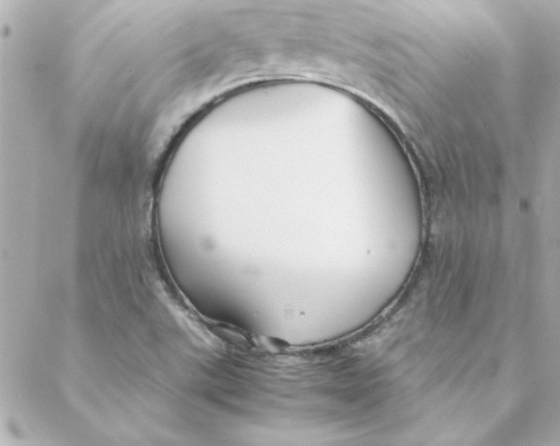 X0000088171507200706051103