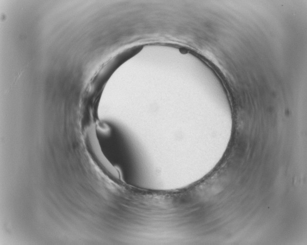 X0000088171508200706051103