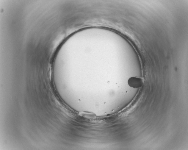 X0000088171509200706051103