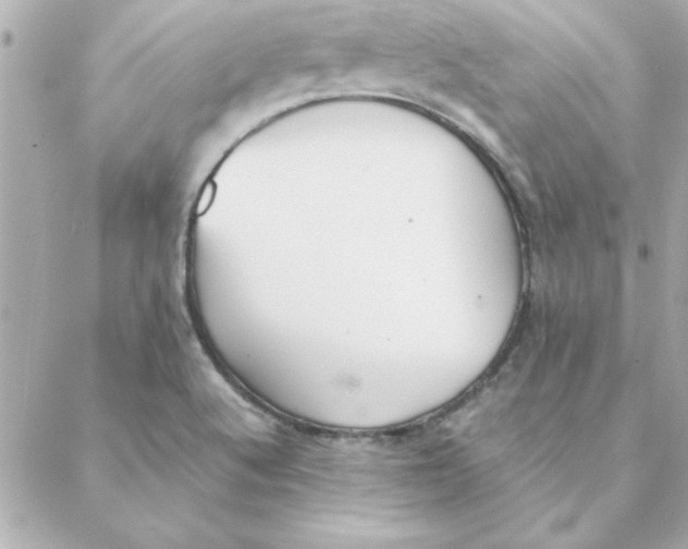 X0000088171512200706051103