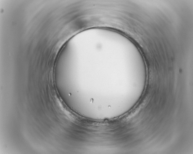 X0000088171513200706051103