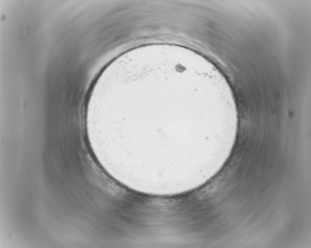 X0000088171514200706051103