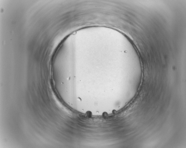 X0000088171515200706051103