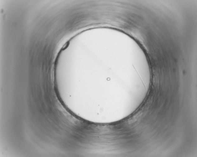 X0000088171516200706051103